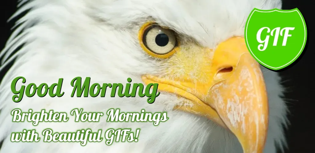 Good Morning GIFs